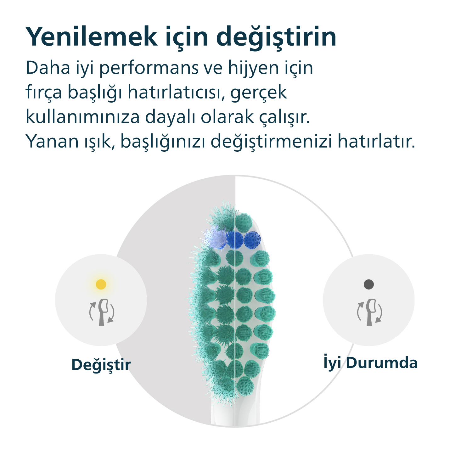 Diş fırçası başlığının, değiştirme zamanını gösteren renk değişimini gösteren bir illüstrasyonu, Türkçe metinle.