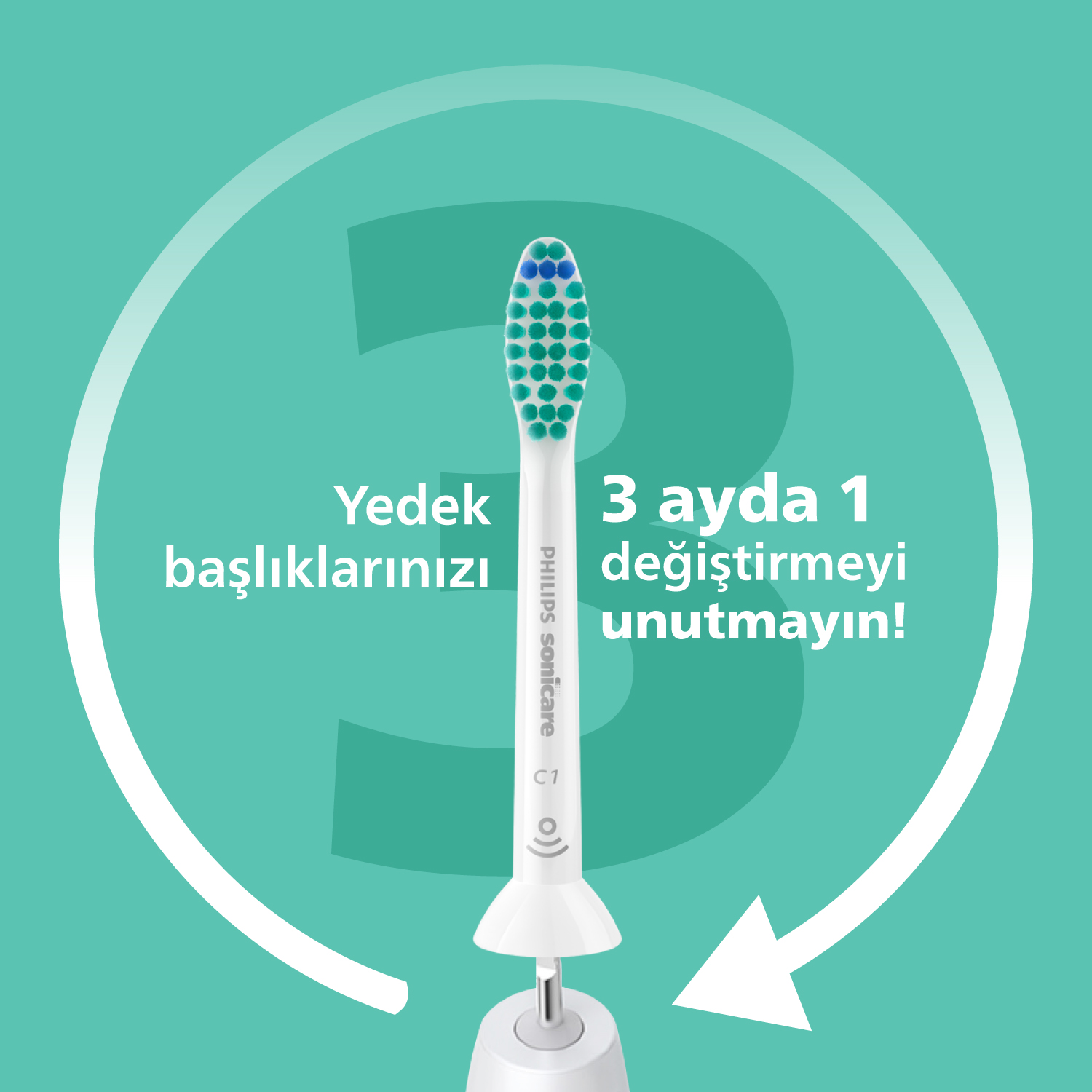 Mavi ve yeşil kıllı beyaz diş fırçası başlığı ve Türkçe metin.
