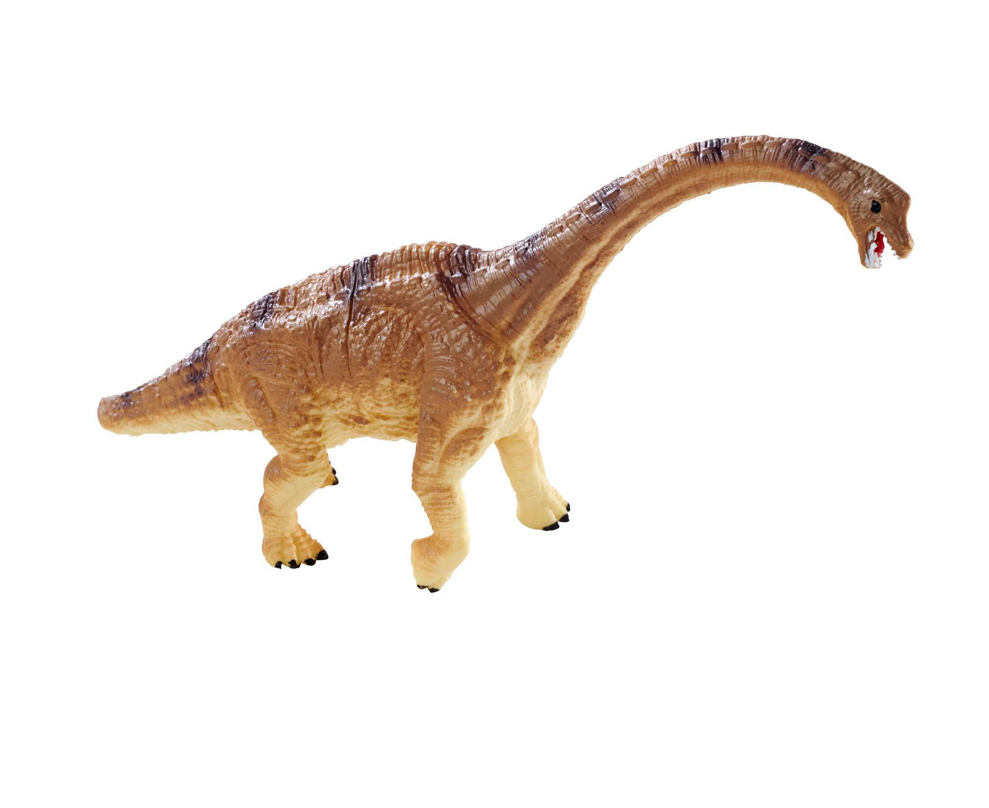 Ein braunes und hellbraunes Dinosaurierspielzeug mit gewölbtem Hals und offenem Mund. Weißer Hintergrund.