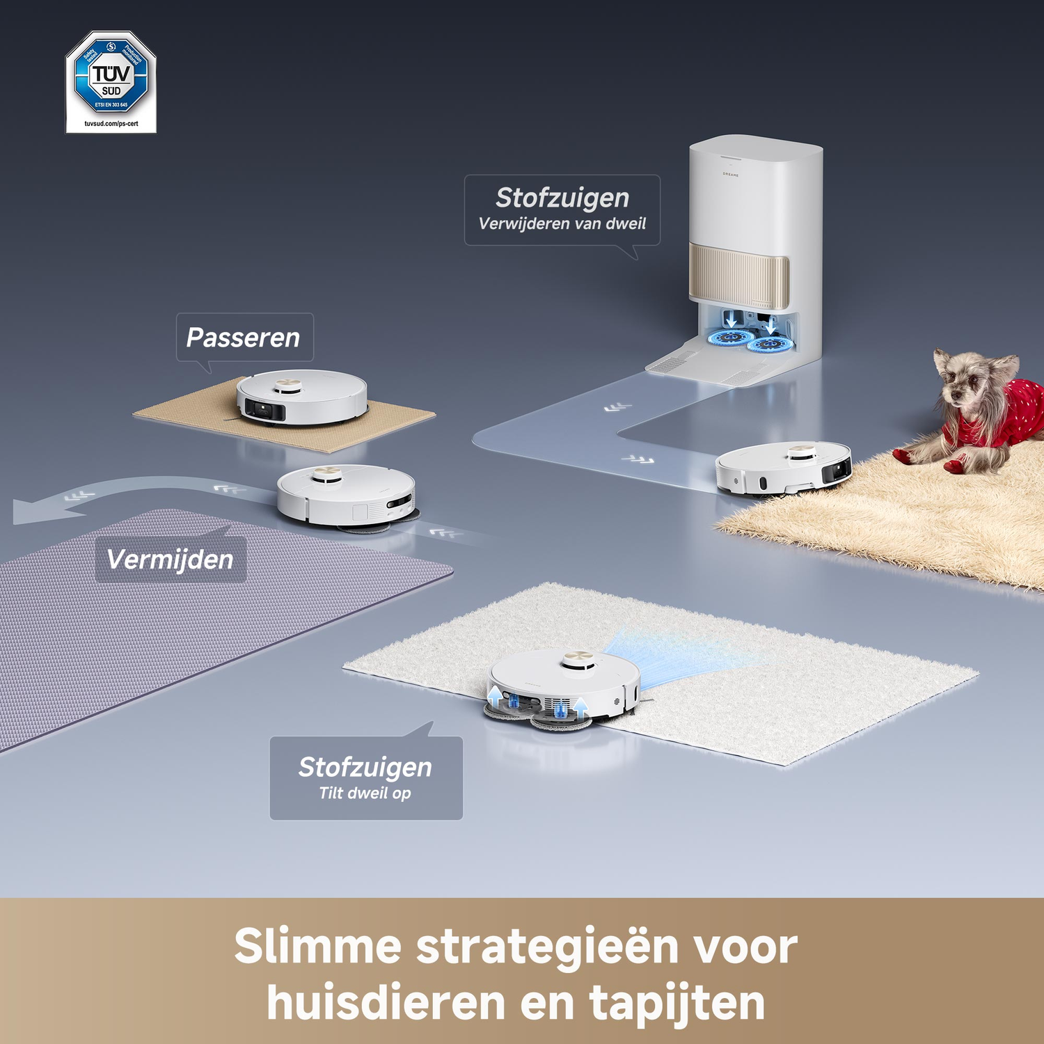 Schema van robotstofzuigers die schoonmaken. Tekst in het Nederlands. Een robot op een kleed met een hond.