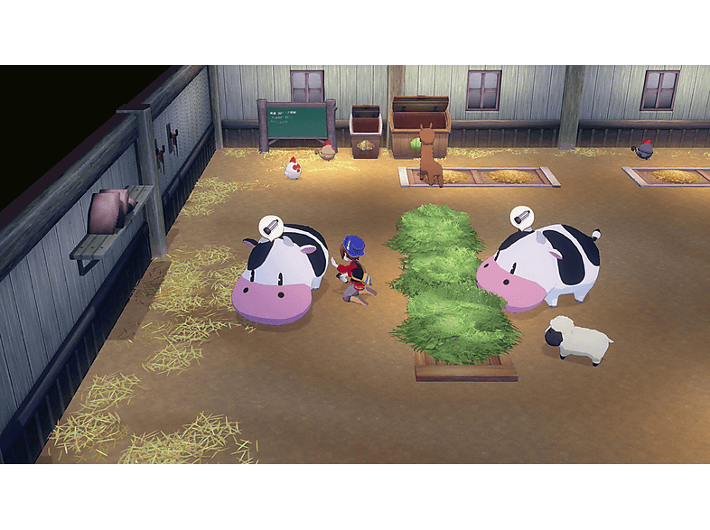 Thumbnail - Story of Seasons: Grand Bazaar - [Nintendo Switch 2]