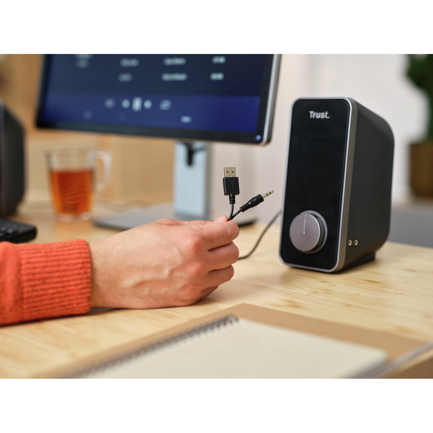 A hand holding USB and 3.5mm audio cables, next to a speaker and in front of a monitor.