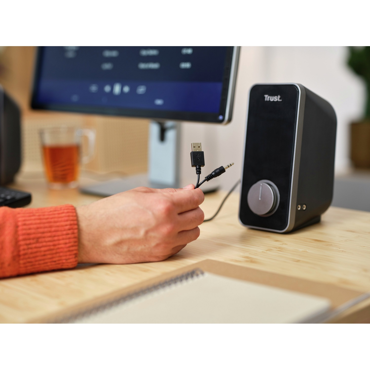 Une personne tient un câble USB et une prise jack. Un écran d'ordinateur est en arrière-plan.