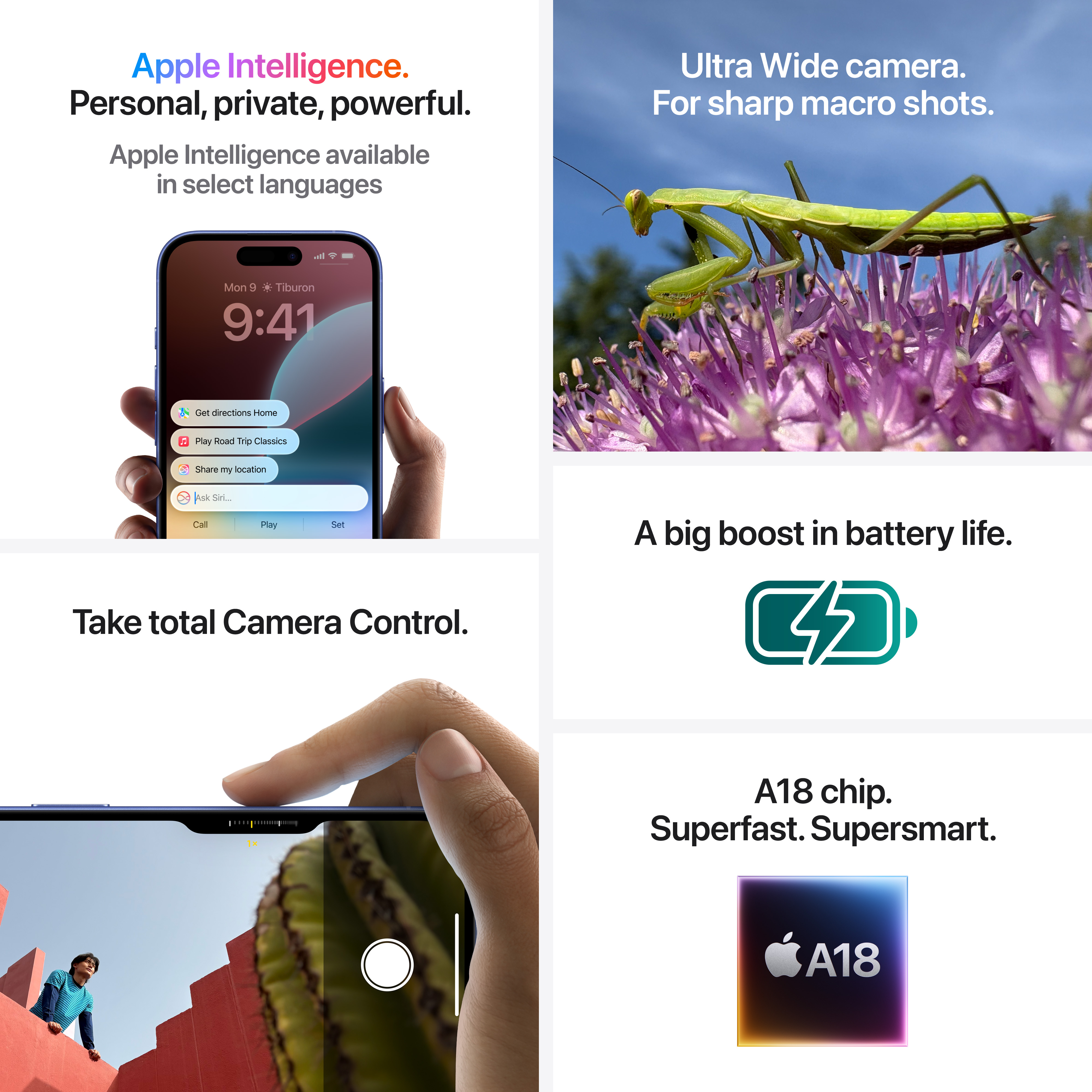 iPhone-Bildschirm und andere Bilder. Enthält Text, eine Gottesanbeterin und ein Batteriesymbol.