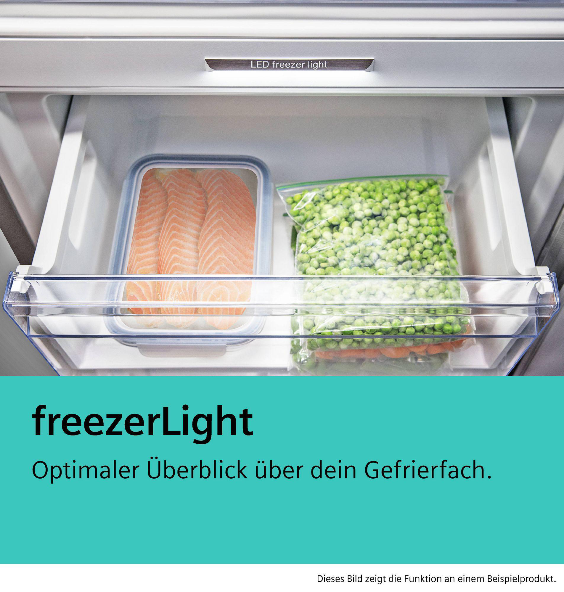 Gefrierschublade mit Lebensmitteln. Lachs im Behälter und Erbsen im Beutel. Weißer Hintergrund.