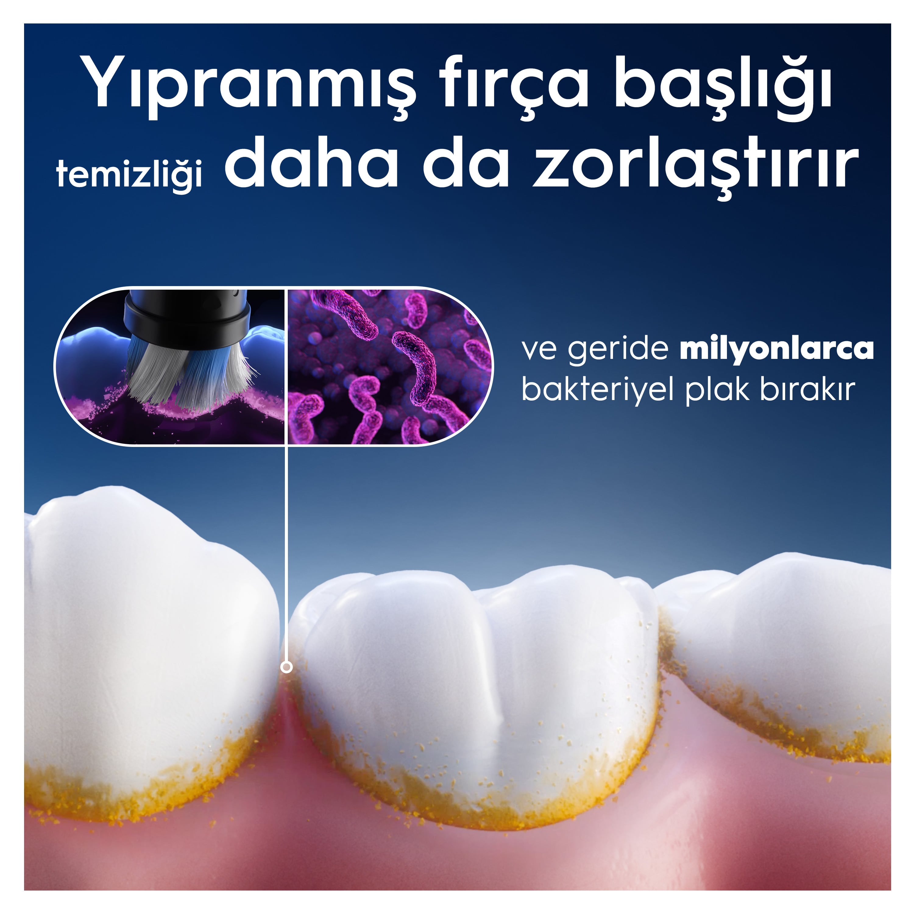 Fransızca animasyon filmi Les Maîtres du Temps'ın DVD kapağı.
