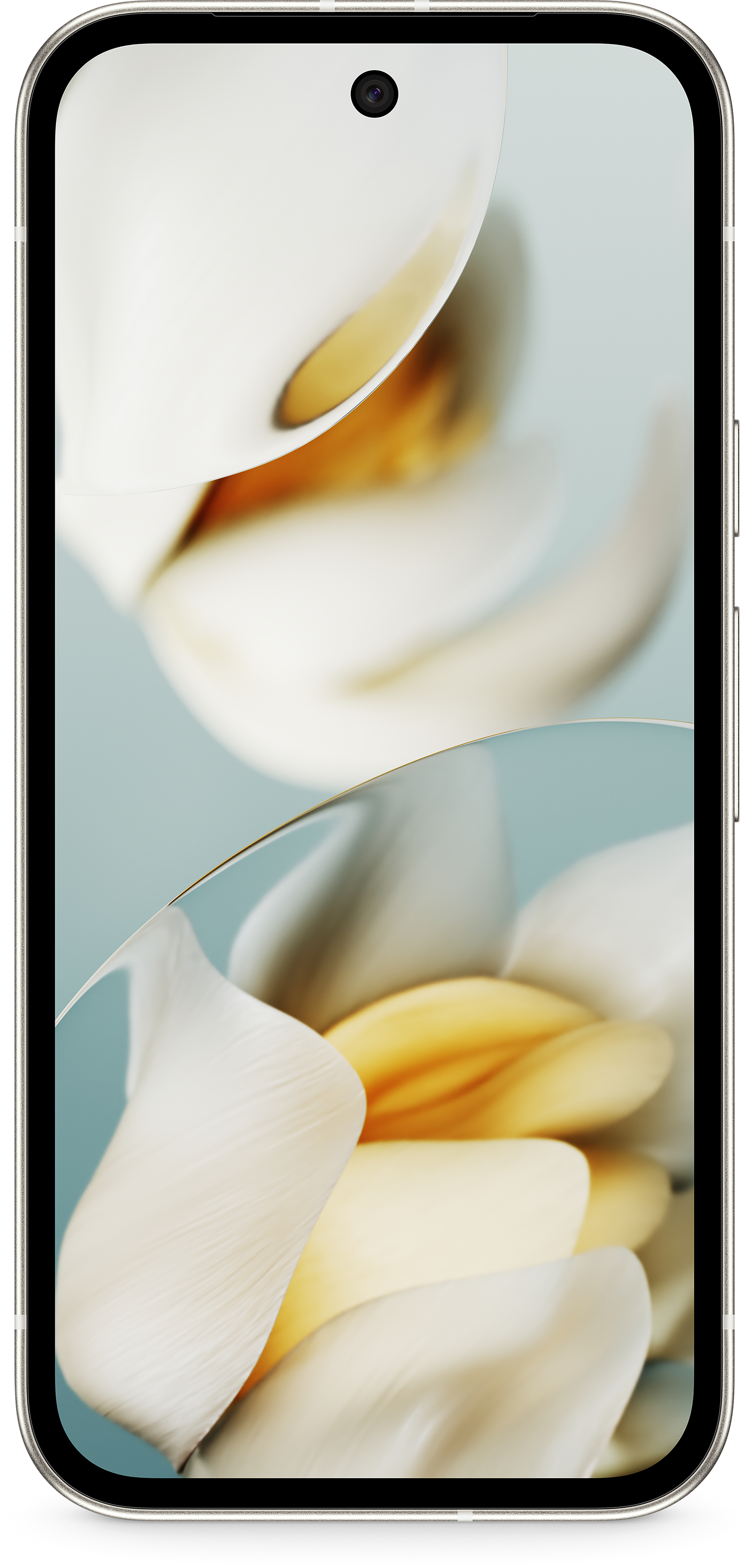 Ein Smartphone mit weißen Blumen und verschwommenem Hintergrund, auf hellblauem Hintergrund.