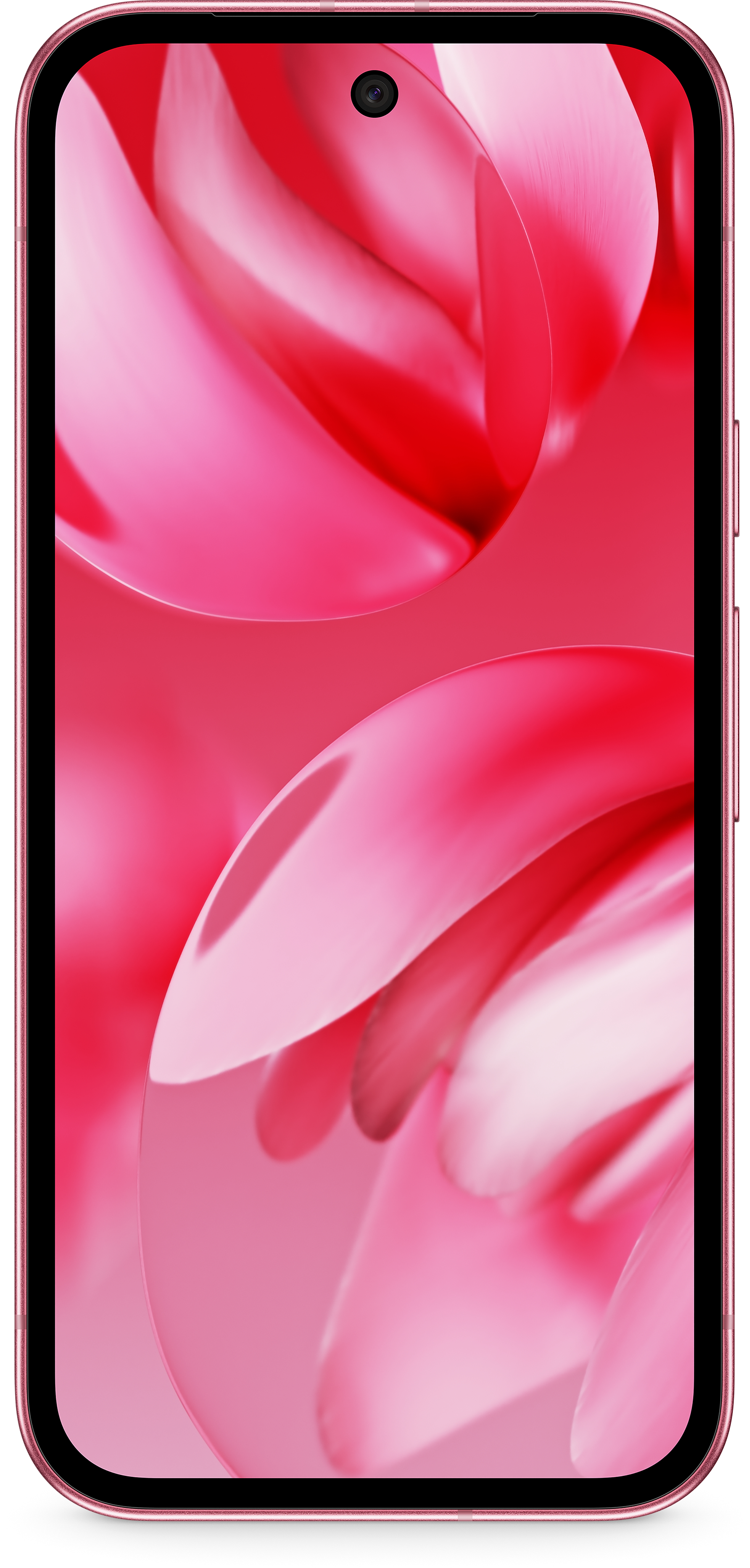 Ein pinkfarbenes Smartphone mit abgerundetem Display und Kamera oben.