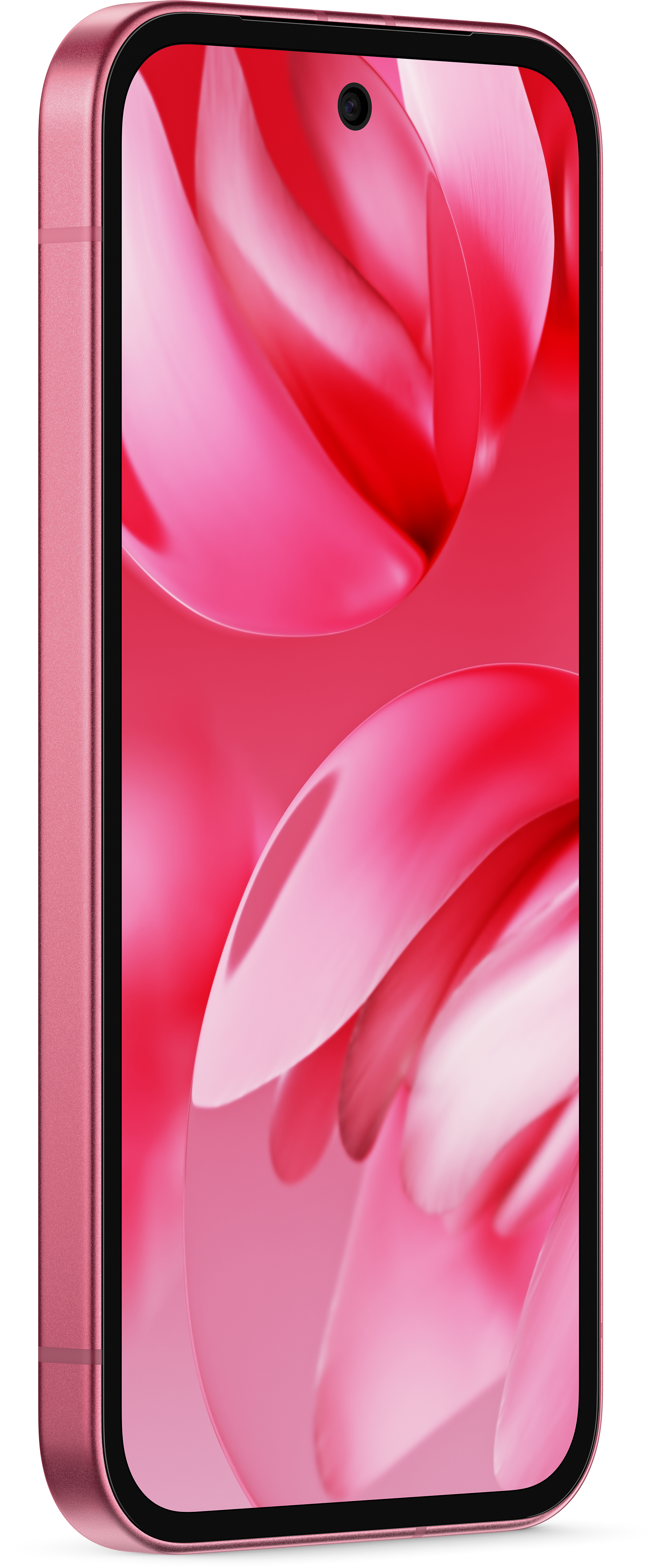Ein pinkes Smartphone mit Kamera und gebogenem Bildschirm. Seitenansicht, auf weißem Hintergrund.