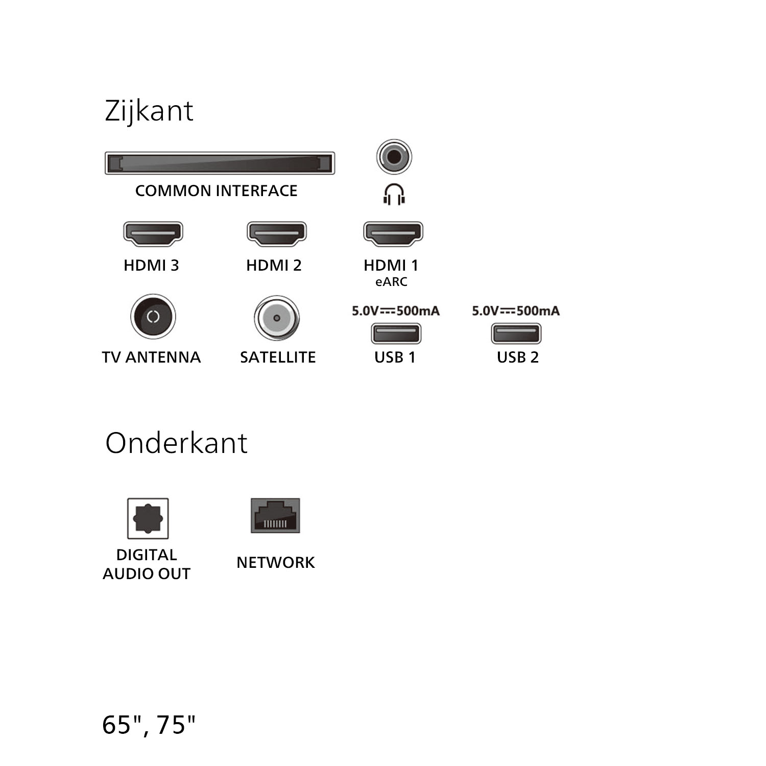 TV rear panel ports: HDMI, USB, antenna, satellite, network, digital audio out, and common interface. Sizes 65" and 75".