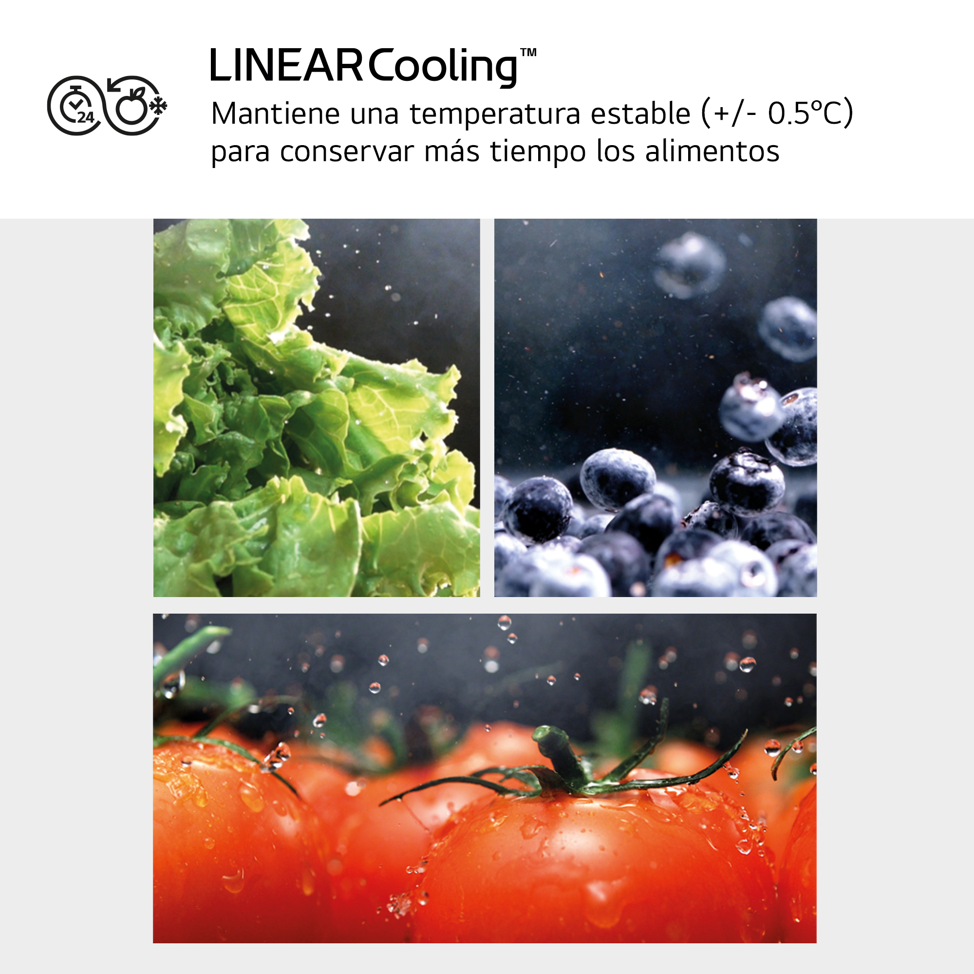 Imágenes de lechuga, arándanos y tomates para mostrar LinearCooling.