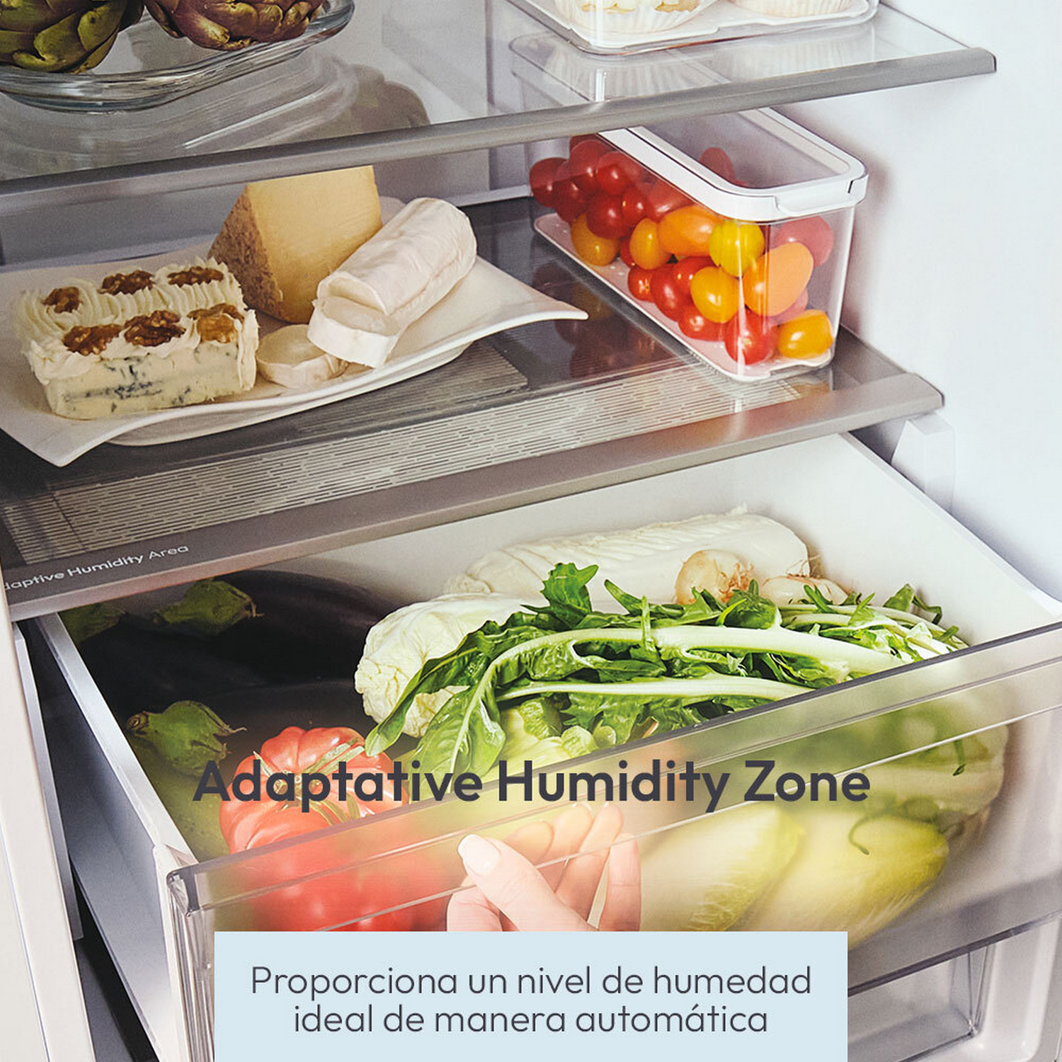 Los alimentos se almacenan en un refrigerador.