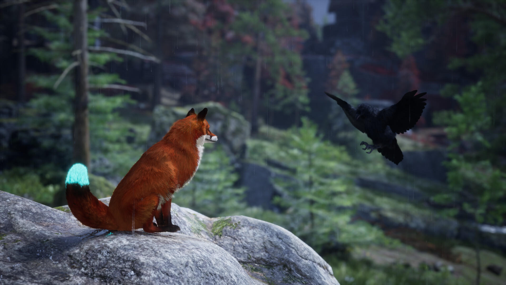Ein Rotfuchs sitzt auf einem Felsen und schaut einen Raben im Wald an.