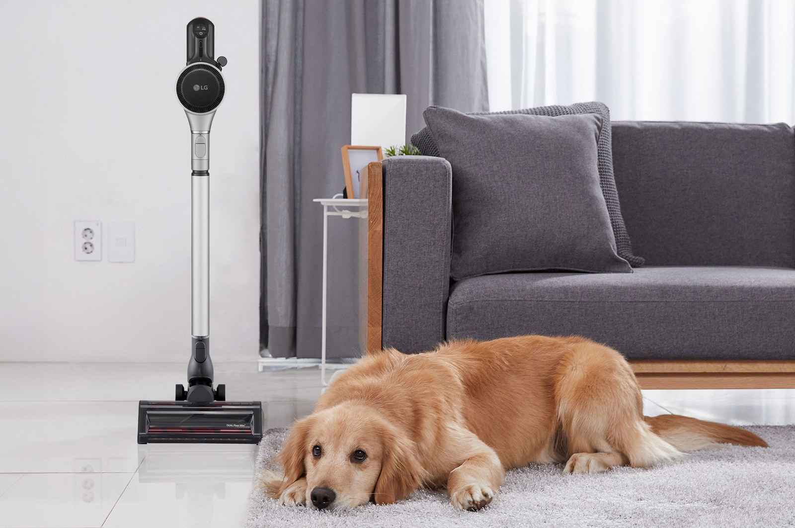 Egy golden retriever egy szőnyegen fekszik egy porszívó előtt. A kutya nyugodt.