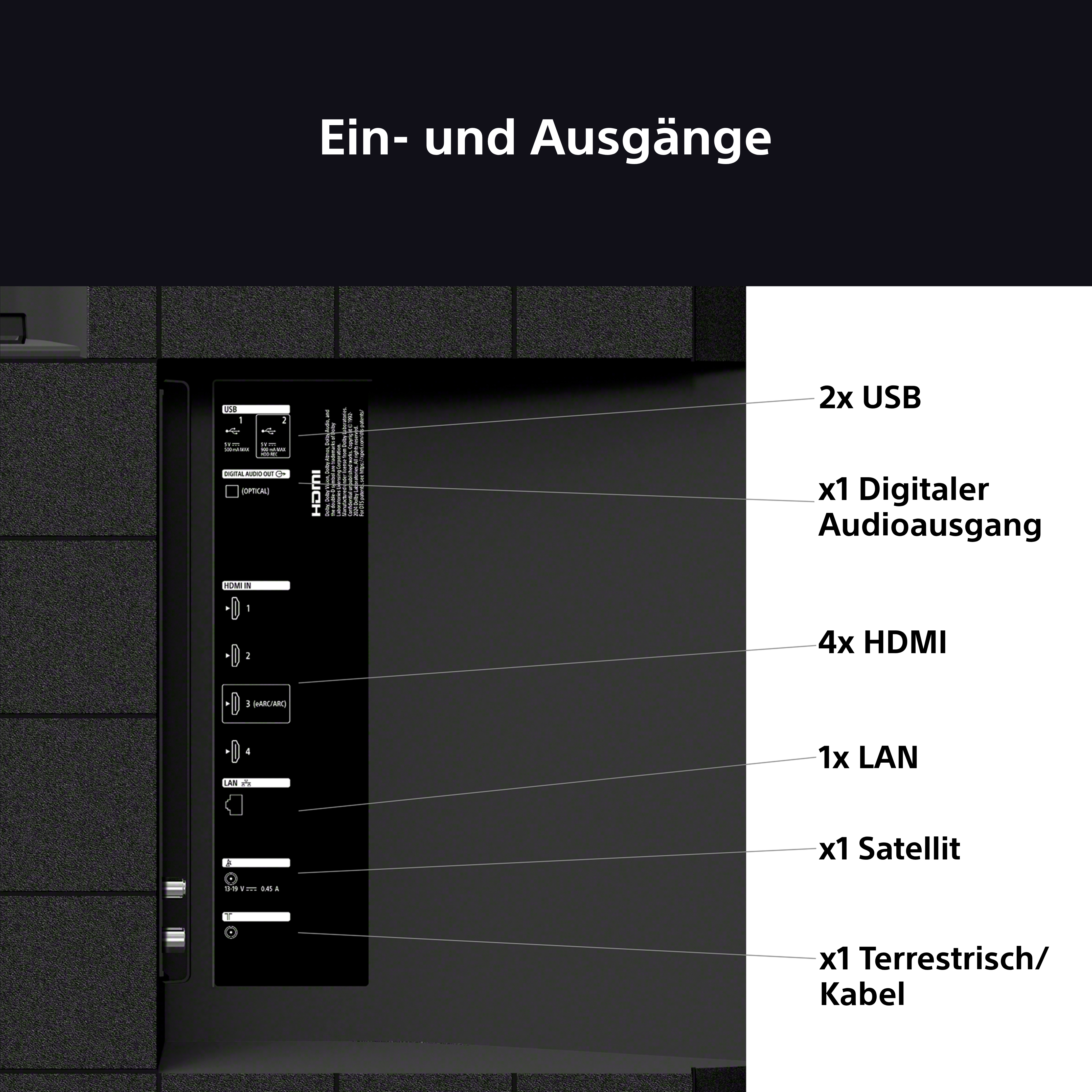 Ein gelbes Buchcover mit rotem Dynamit und Text: BACK WITH A BANG! mit einer CD.