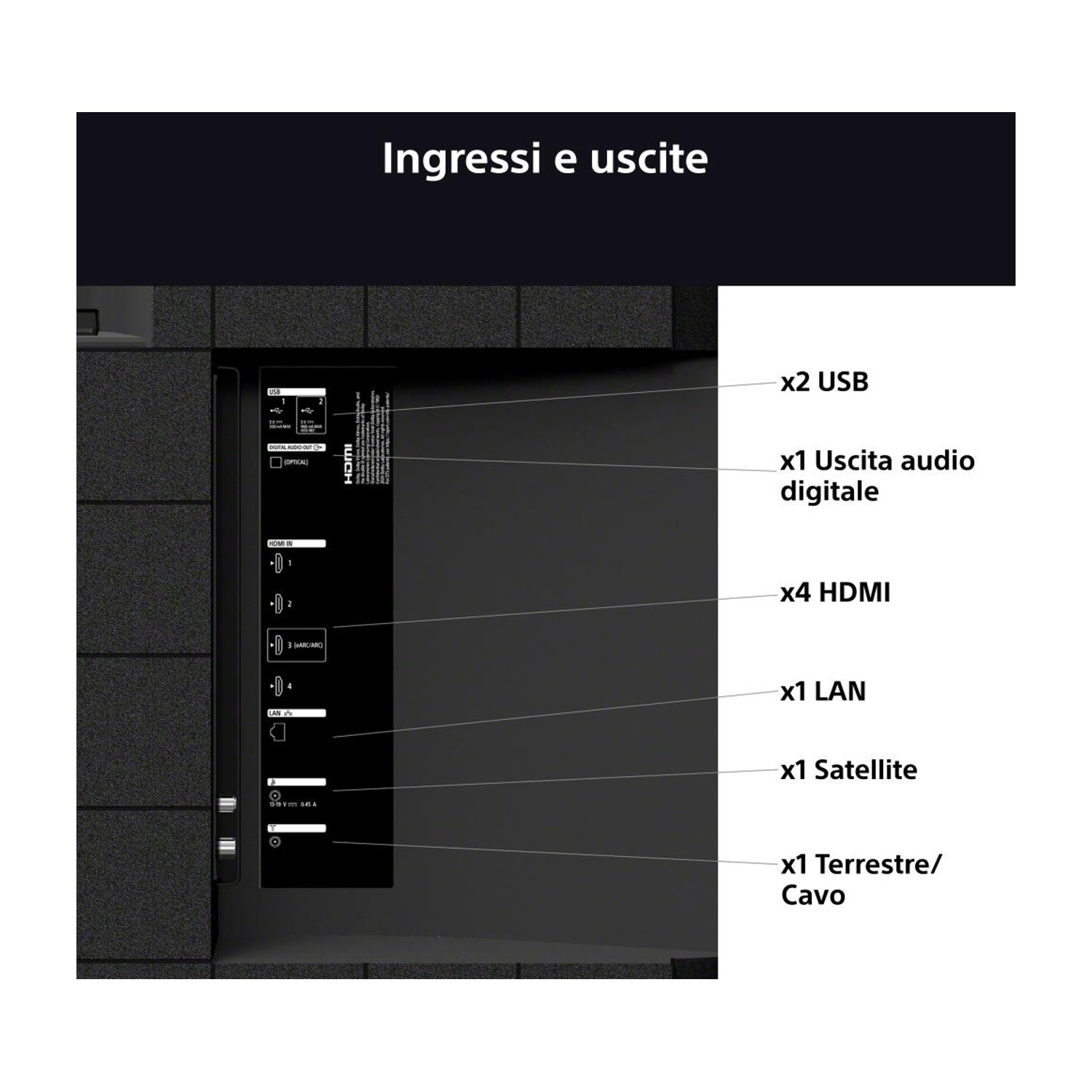 Pannello posteriore di un televisore. Mostra più porte, tra cui USB, HDMI, LAN e antenna.