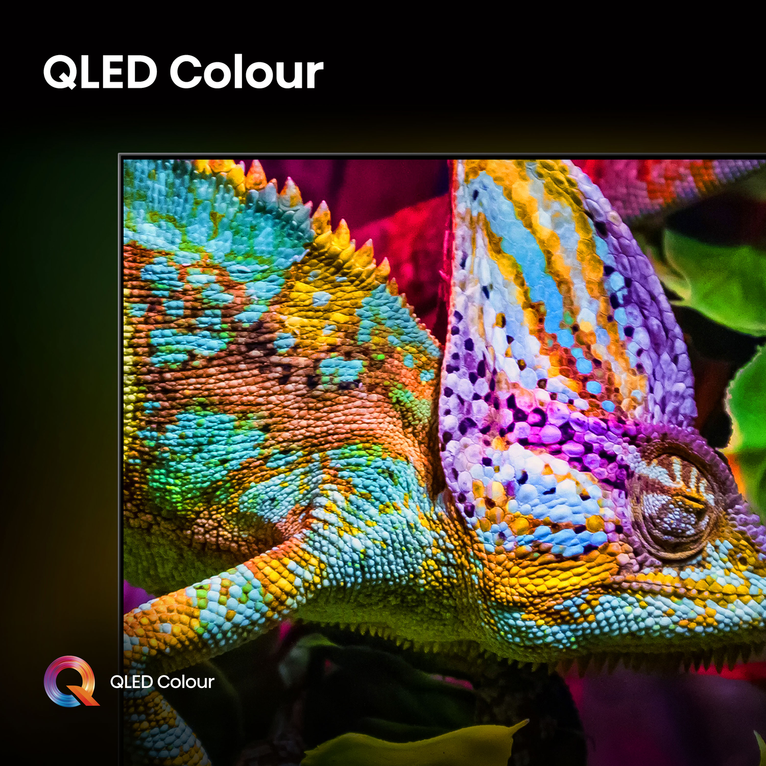 A vibrant chameleon on a dark background. QLED Colour text is above and below the chameleon.