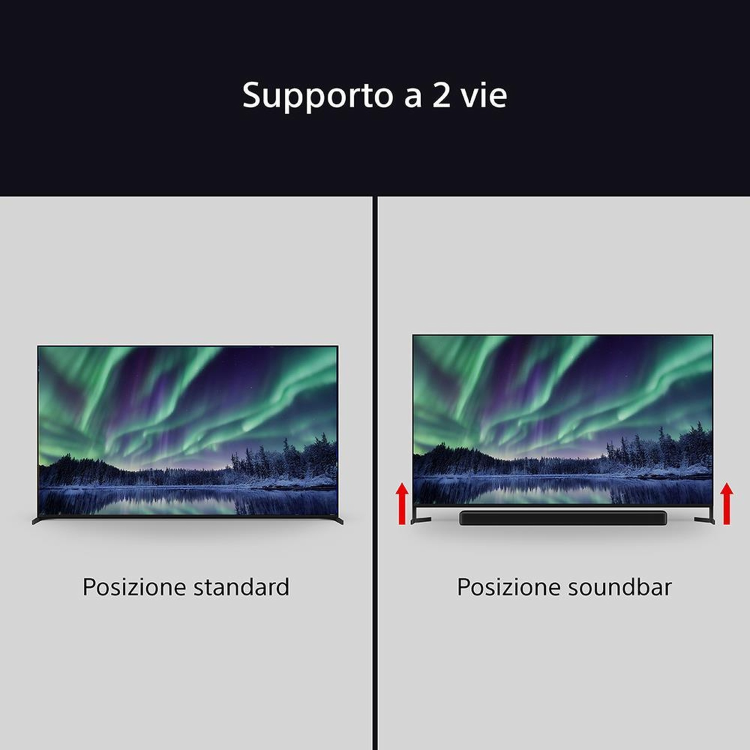 Due TV affiancate, una standard, una con soundbar. Il testo dice: 'Supporto a 2 vie'.