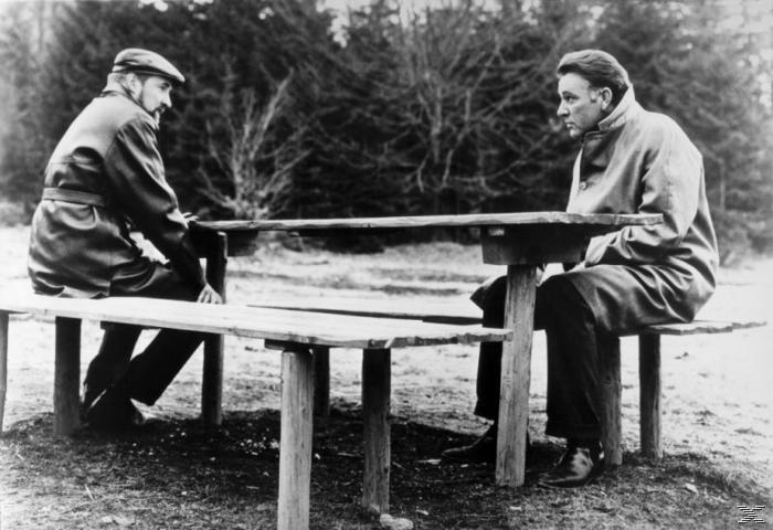 Zwei Männer sitzen an einem Picknicktisch im Park. Einer trägt Hut und Mantel, der andere Mantel.