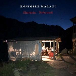 Albumcover. Nachtszene mit einem Schuppen und einer Gruppe von Menschen im Licht.