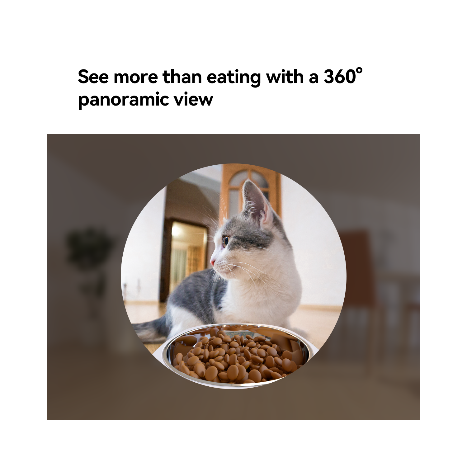 A cat eating food from a silver bowl. The cat is in a circular frame.