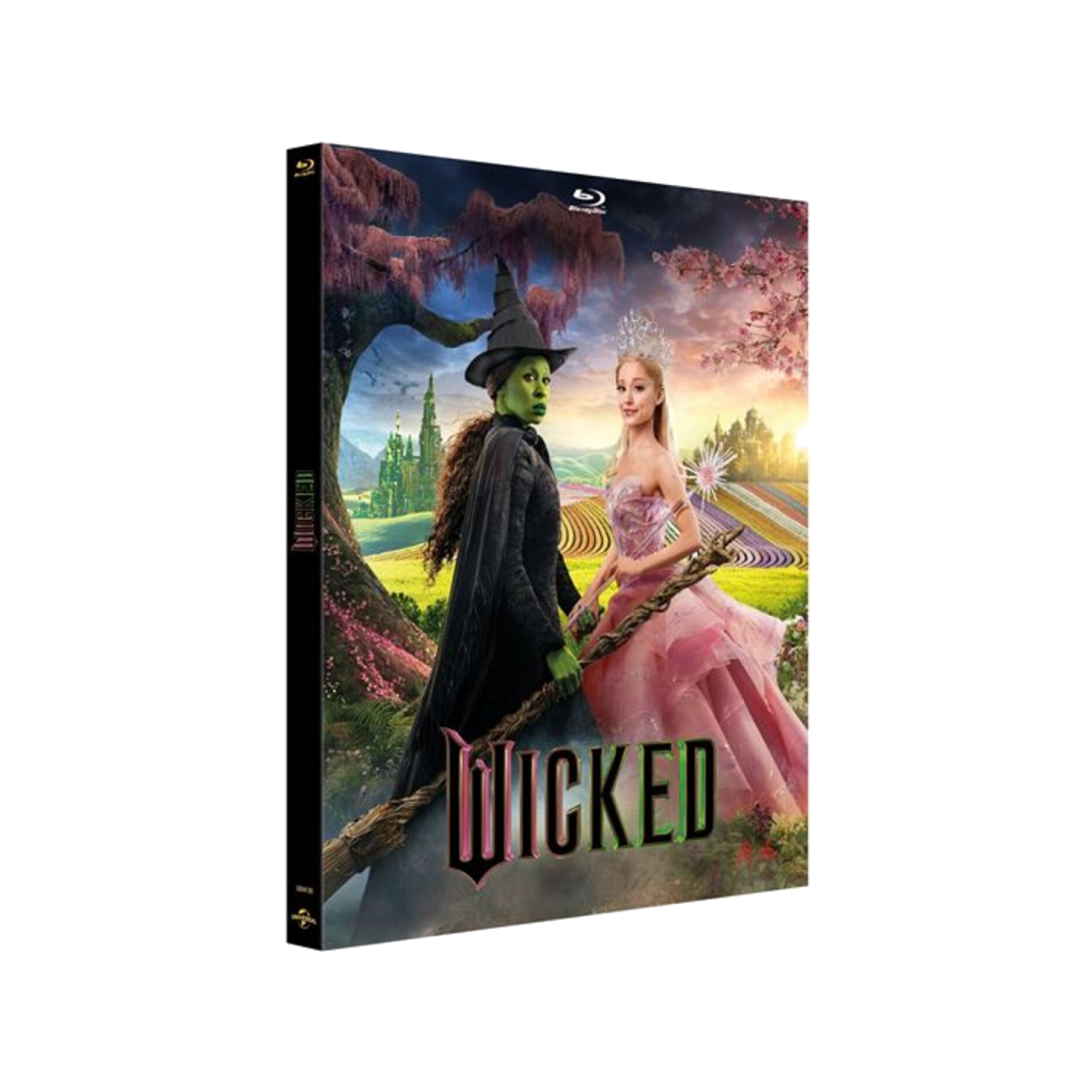 Couverture du film: DVD 'Wicked'. Deux femmes dans un cadre fantastique, une avec un visage vert. Couleurs pourpre et vert.