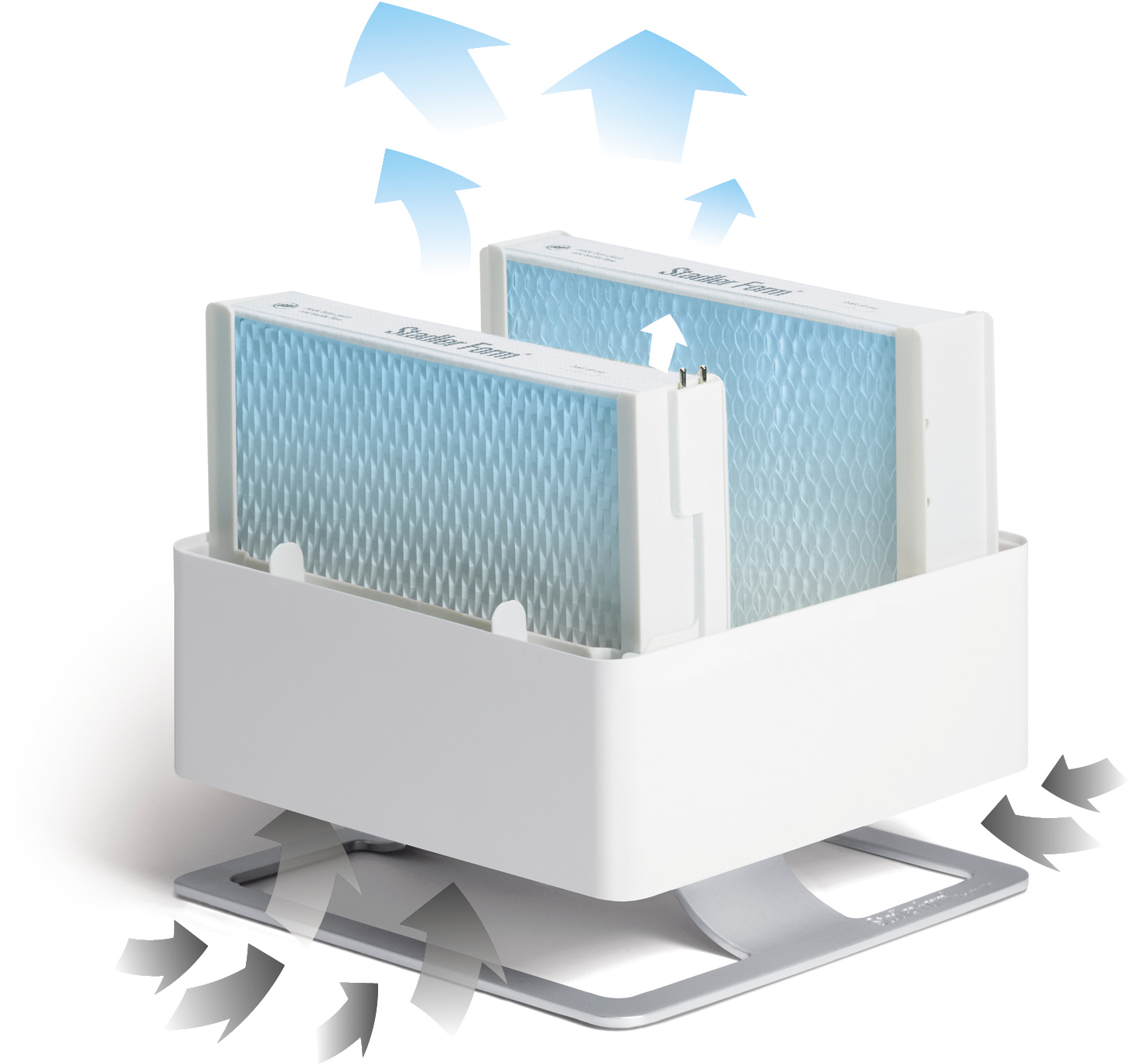 Due filtri per l'acqua blu all'interno di un contenitore bianco con frecce.