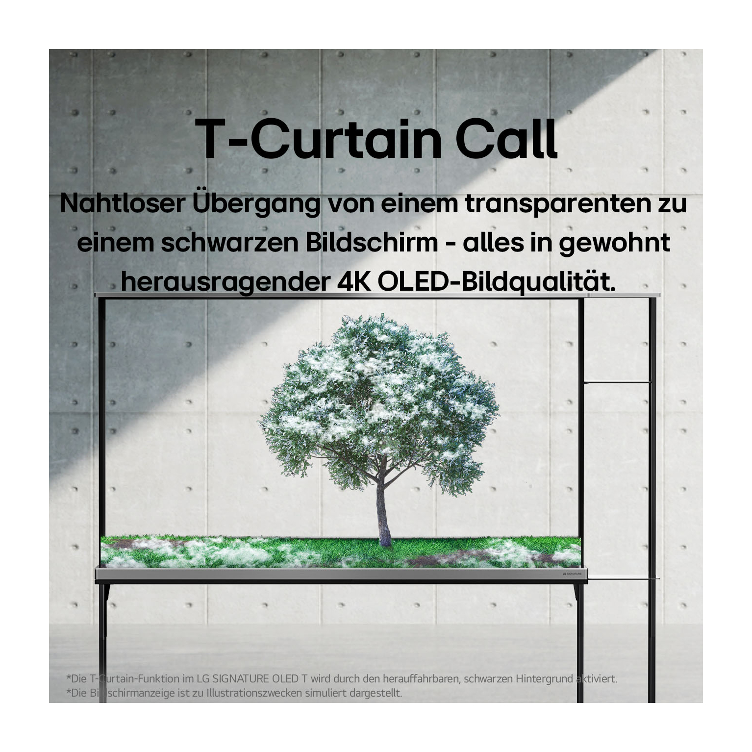 4K OLED TV mit schneebedecktem Baum und Gras. Text: 'T-Curtain Call'.