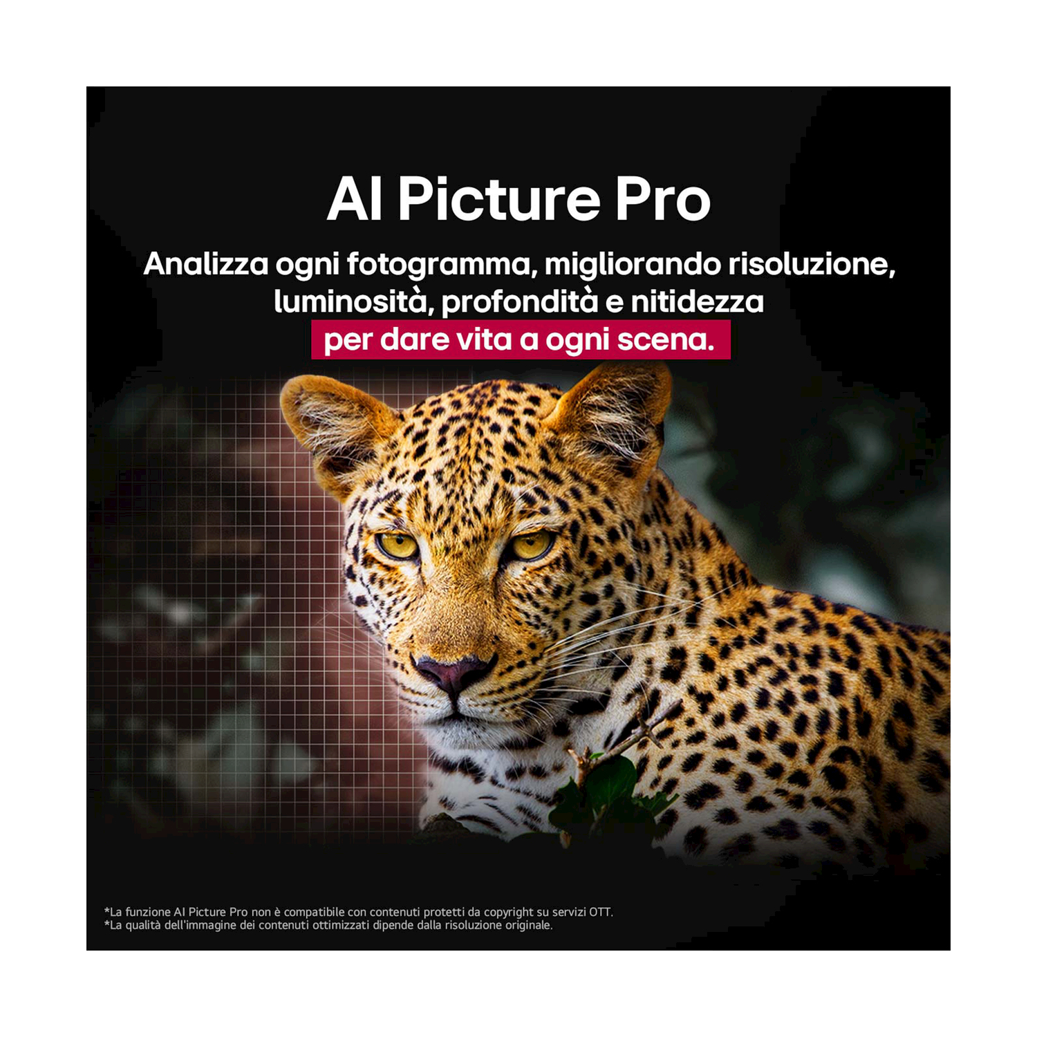Un leopardo su sfondo nero. Il testo menziona AI Picture Pro.