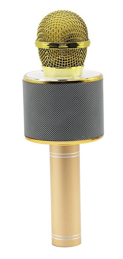 Złoty i szary mikrofon z siatkową głowicą. Złota podstawa i korpus. Izolowany na białym tle.