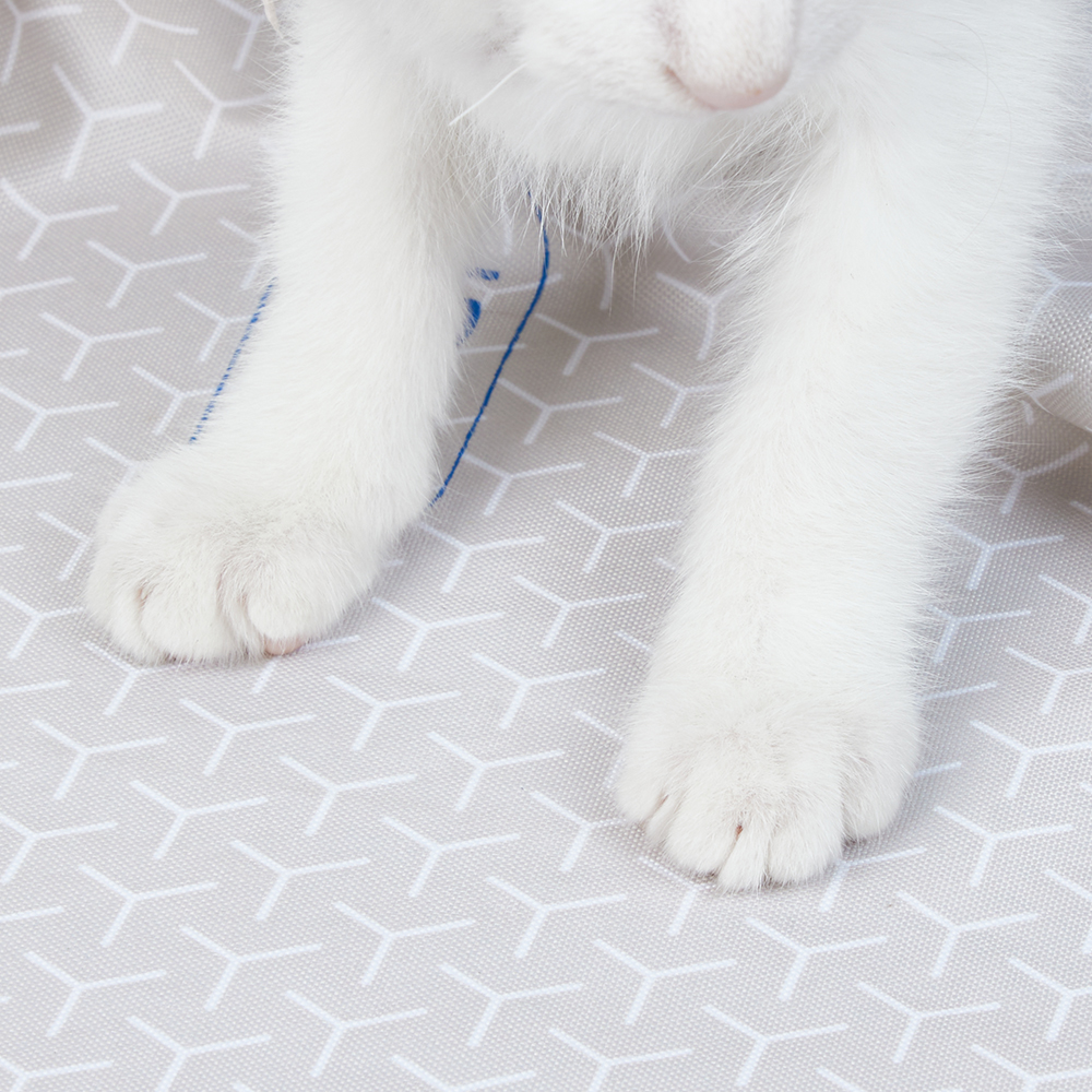 Primo piano delle zampe bianche di un gatto su una superficie grigio chiaro a motivi. Le zampe sono soffici e dettagliate.