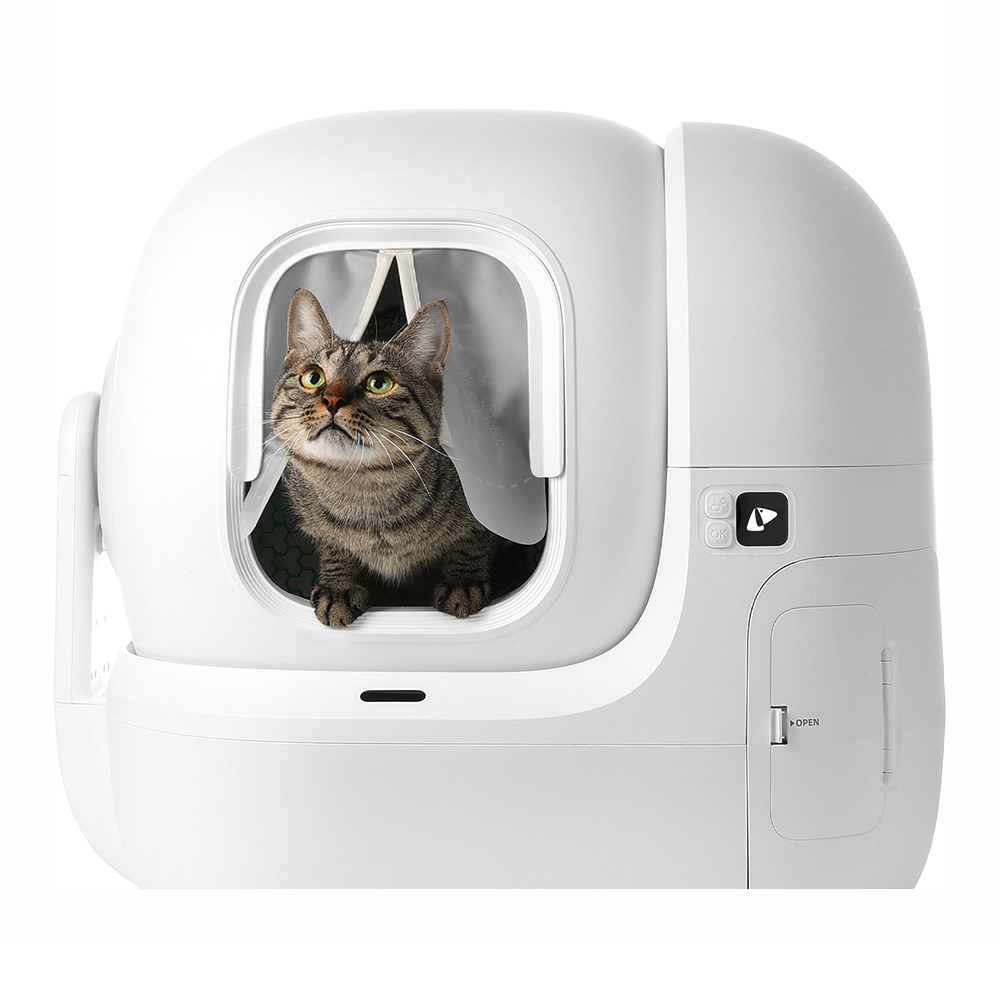 Un gatto in una lettiera automatica bianca. Il gatto guarda in alto, incorniciato dall'apertura. Sfondo bianco.
