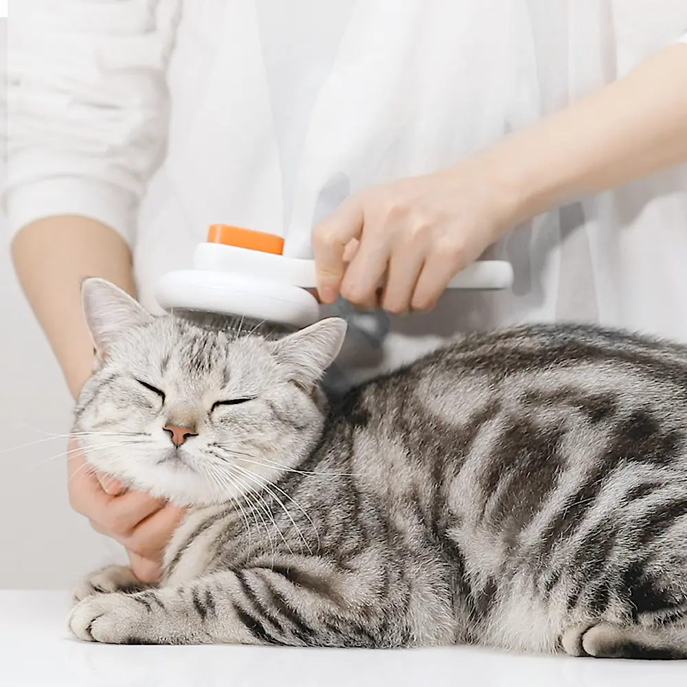 Una persona spazzola un gatto tabby grigio con una spazzola bianca e arancione. Il gatto è rilassato.
