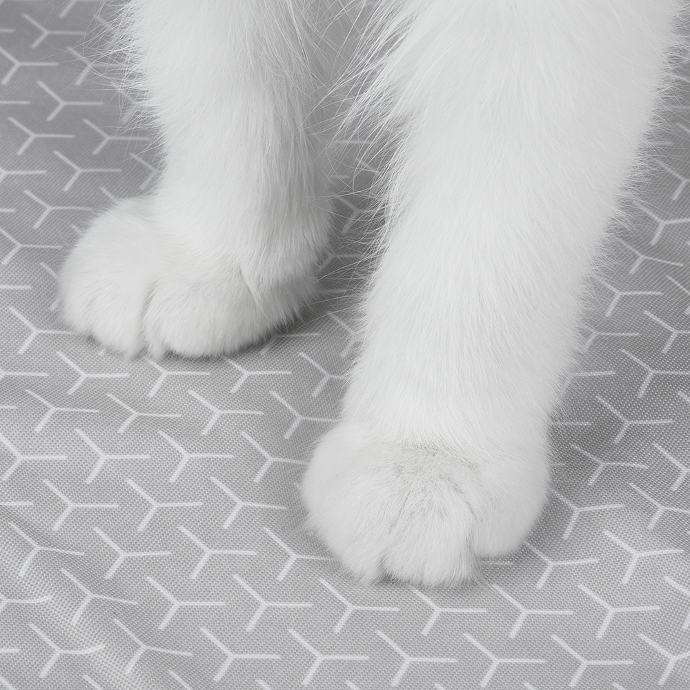 Zampe di gatto bianche su una superficie grigia a motivi.