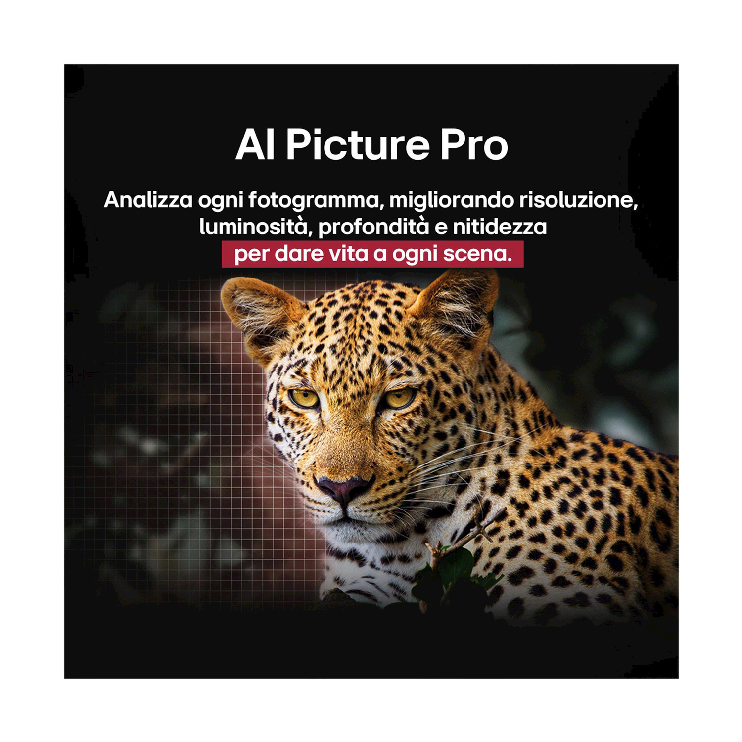 Primo piano di uno schermo, testo su AI Picture Pro e l'immagine di un leopardo.