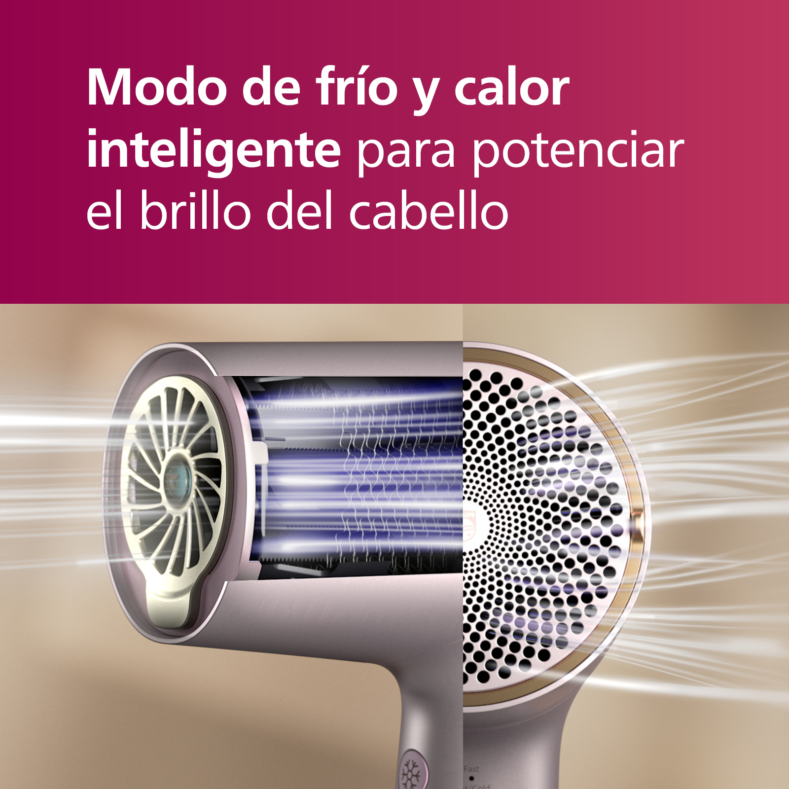 Una sección transversal de un secador de pelo muestra sus componentes internos y el flujo de aire.