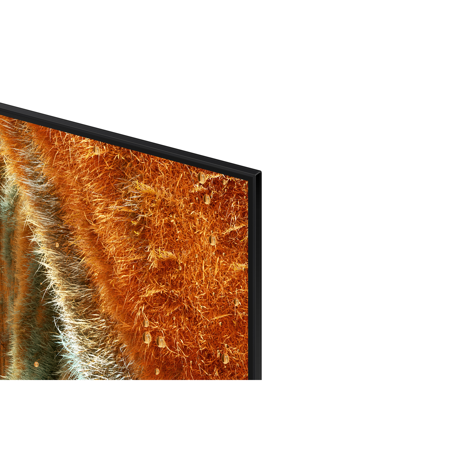 Close-up van een tv-rand en een cactus. Zwarte lijst, oranje en witte textuur achtergrond.