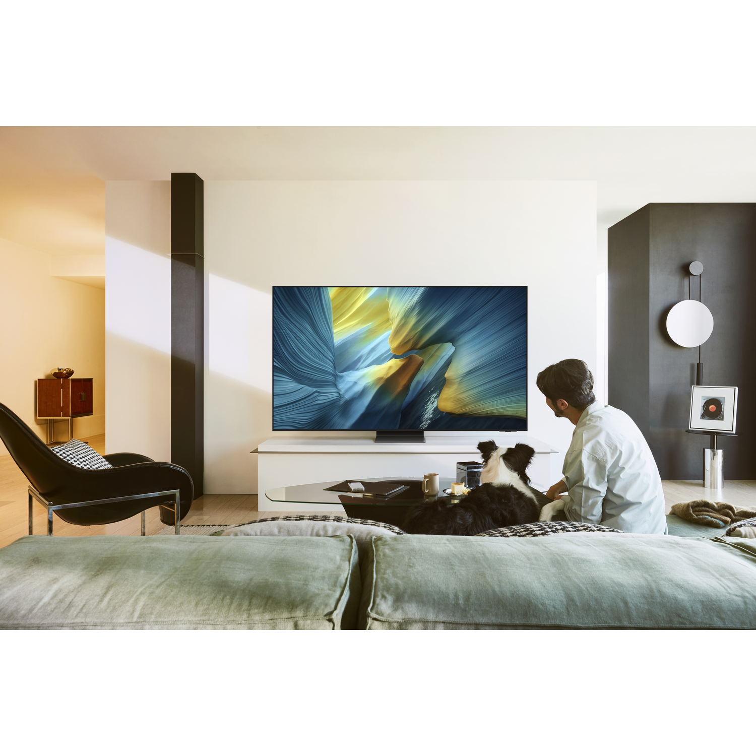 Living room with a large TV, a man, a dog, and modern furniture.