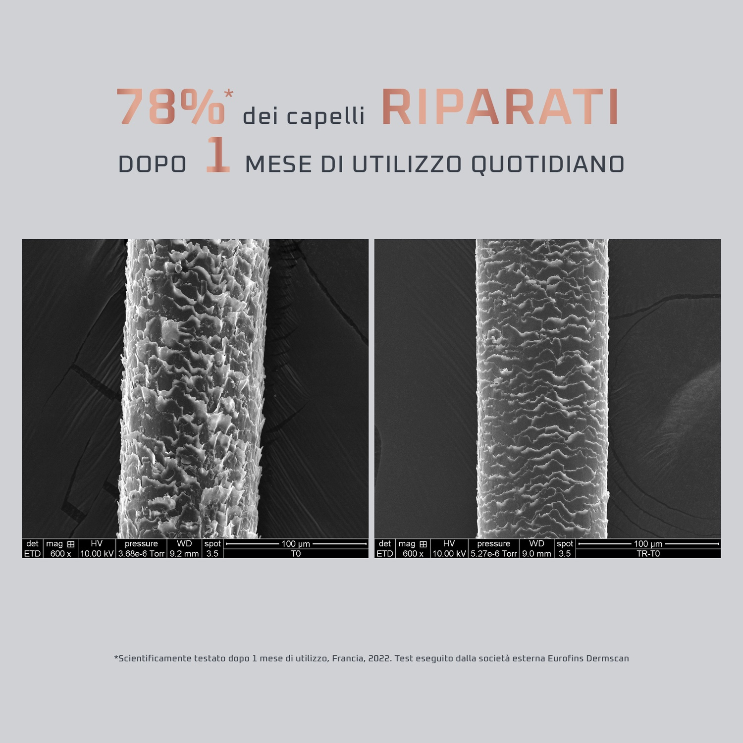 Immagini microscopiche dei capelli prima e dopo il trattamento, con testo ed etichette.
