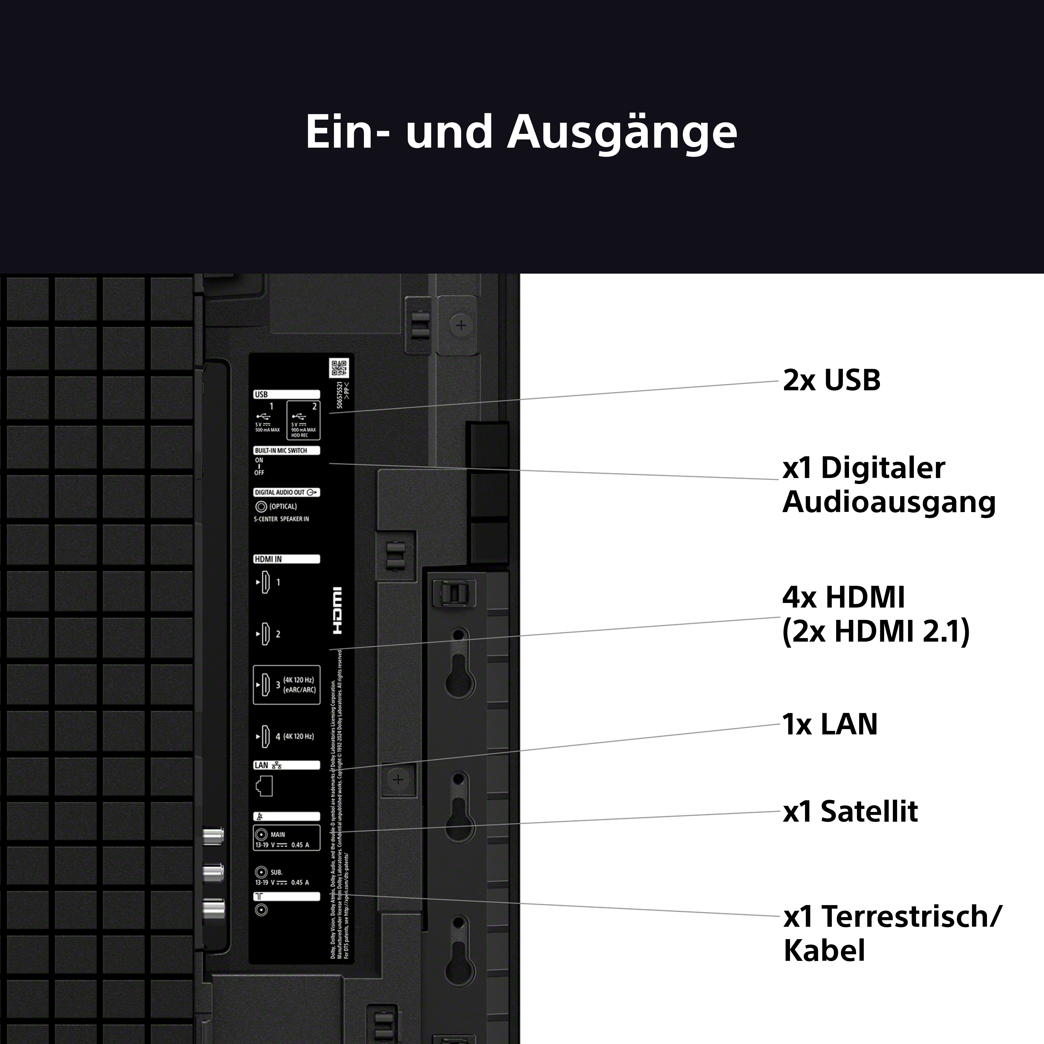 Rückseite eines Fernsehers mit Anschlüssen: HDMI, USB, LAN und Satellitenanschlüssen.