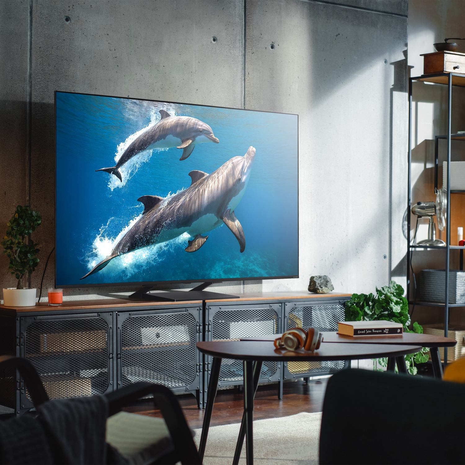 TV con delfini. Soggiorno con divano e tavolo.