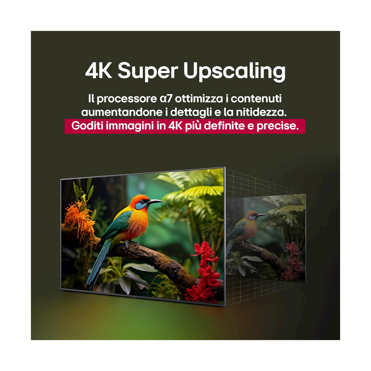 Uno schermo TV che mostra un uccello colorato con testo 4K.