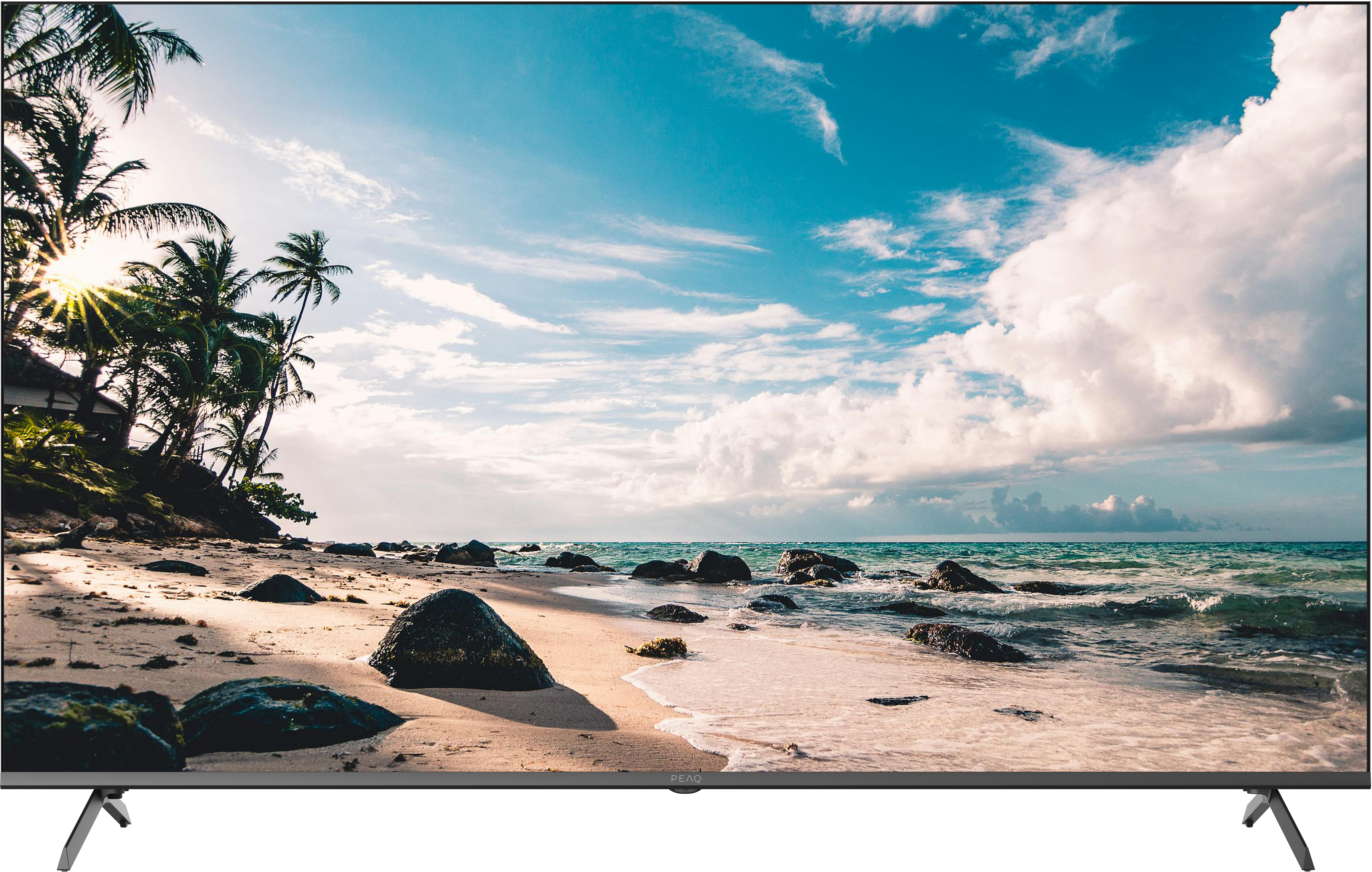 Un écran de télévision affiche une scène de plage avec des palmiers, un ciel bleu et un océan avec des vagues.