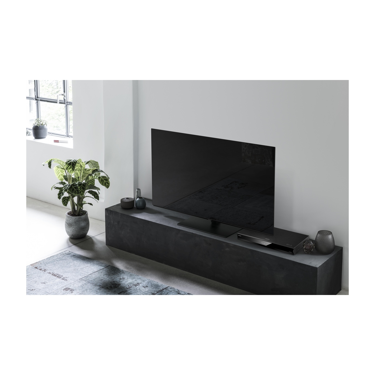 Scena di soggiorno con TV su supporto nero, pianta, tappeto e finestra. Design moderno.