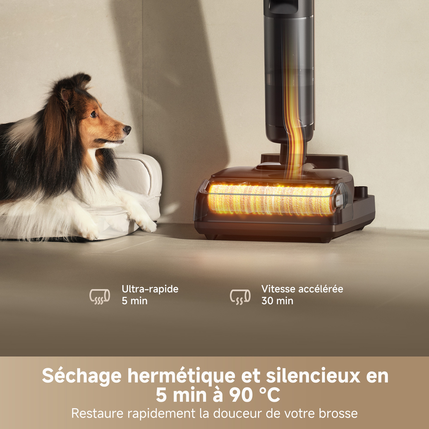Chien et aspirateur. Le nettoyeur sèche la brosse en 5 minutes. Séchage rapide, silencieux.