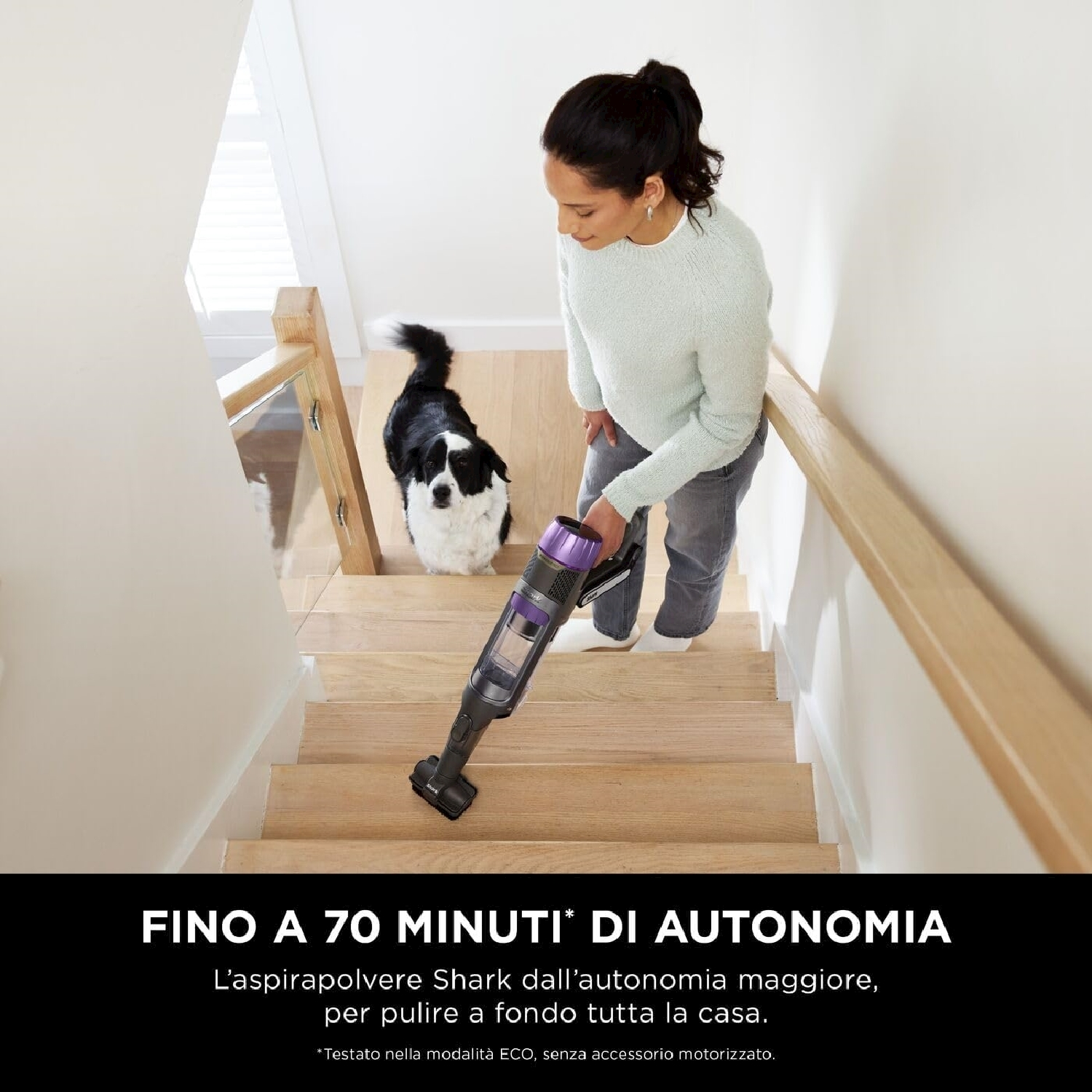 Donna aspira le scale con cane. Aspirapolvere nero e viola.