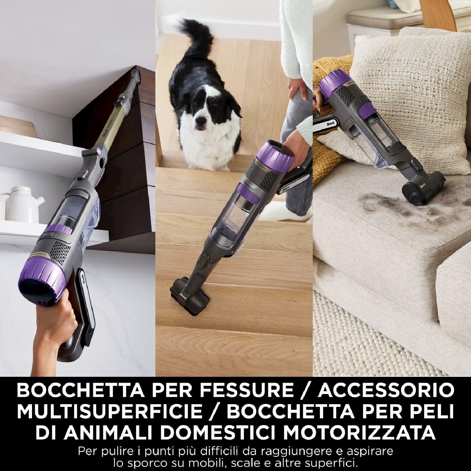 Collage di un aspirapolvere in uso, con un cane e testo in basso.