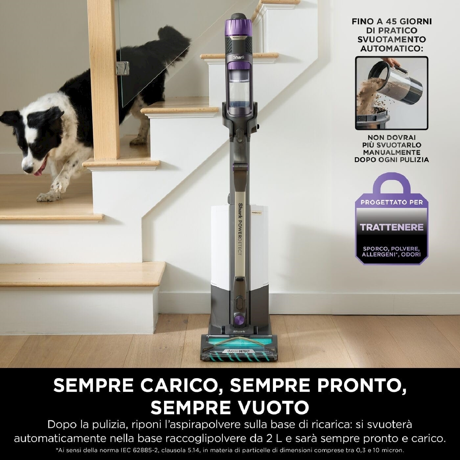 Una donna che tiene un aspirapolvere in una stanza con un cane sulle scale.