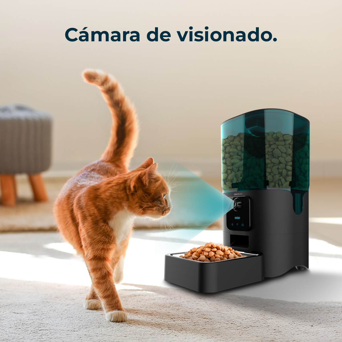 Un gato naranja mira un dispensador de comida. El dispensador tiene una parte superior verde azulado.