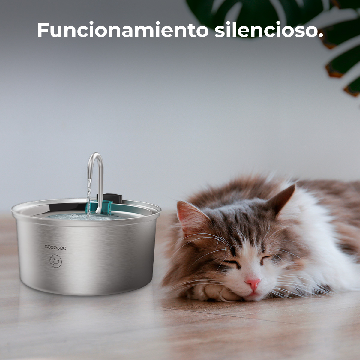 Gato durmiendo cerca de una fuente de agua de acero inoxidable. El agua fluye.